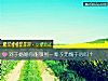 《对于婚姻你能做到一辈子无愧于心吗？》测试