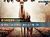 《易烊千玺的4种红 测你<i>适合</i>哪一种》测试