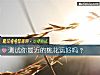 《测试你最近的<i>桃花运</i>好吗？》测试