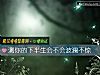 《测你的下半生会不会波澜不惊》测试