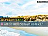 《本年你会遇到哪方面有奇迹的事情<i>发生</i>？》测试