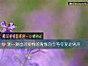 《测一测<i>面对</i>爱情的背叛你会等待爱是离开》测试