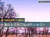 《测你本年有可能<i>感情</i>受挫吗？》测试