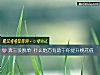 《奔三没<i>脱单</i> 什么地方有助于你提升桃花值》测试