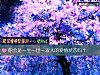 《你会是一生一世一双人的爱情<i>状态</i>吗？》测试