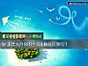 《本年九月你的<i>生活</i>能触底反弹吗？》测试