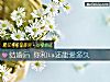 《结婚后 你和ta还能爱多久》测试