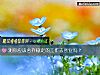 《测你应该舍弃稳定的工作去<i>创业</i>吗？》测试