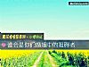 《谁会是你们婚姻中的阻碍者》测试