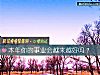 《本年你的事业会越来越好吗？》测试