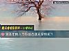 《测本年<i>情人</i>节你能否遇见爱情呢？》测试