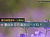 《测你本年会遇到<i>另一半</i>吗？》测试