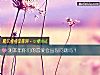 《测本年你们的<i>恋爱</i>会出现问题吗？》测试