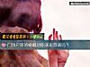 《门当户对的婚姻对你来说圆满吗？》测试