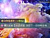 《哪只是披着羊皮的狼 测你下一段<i>感情</i>是缘还是劫数》测试