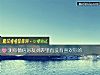 《测你微信好友列表里<i>有没有</i>喜欢你的》测试