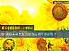《测你未来<i>男友</i>会因为兄弟冷落你吗？》测试