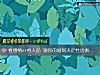 《看感情or看人品 测你的婚姻决定性因素是什么》测试