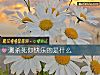 《测杀死你<i>快乐</i>的是什么》测试