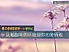 《从喝咖啡的环境测你的<i>爱情</i>观》测试