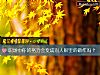 《<i>职场中</i>你的努力会变成别人眼里的做作吗？》测试