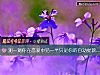 《测一测你在<i>恋爱</i>中另一半只是你的自动提款机吗？》测试