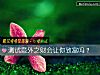 《测试意外之财会让你<i>致富</i>吗？》测试