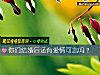 《你们结婚后还有爱情可言吗？》测试