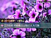 《五月份你的婚姻会出现什么大问题》测试