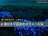 《测你本年底能<i>收获</i>到多少财富》测试