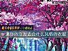 《测你的女友<i>适合</i>什么风格的衣服》测试