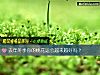 《去年冬季你的<i>桃花运</i>会越来越好吗？》测试