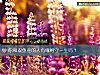 《你和双鱼座的人有缘相守<i>一生</i>吗？》测试
