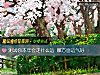 《测试你本年会走什么运 哪方面<i>运气</i>好》测试