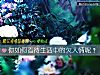 《你如何看待<i>生活</i>中的欠人情呢？》测试