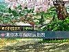 《测你本年偏<i>财运</i>指数》测试