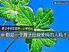 《你是一个善于<i>经营</i>爱情的人吗？》测试