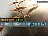 《测他在<i>感情</i>中会不断迁就你吗？》测试