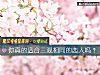 《你真的<i>适合</i>三观相同的恋人吗？》测试