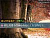 《你想知道你的<i>异性</i>缘是什么类型的吗？》测试