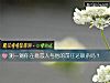 《测一测你在意<i>恋人</i>与他的前任还联系吗？》测试