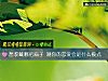《想收藏哪把扇子 测你的<i>恋爱</i>会是什么模式》测试