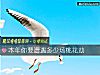 《本年你要遭遇多少场<i>桃花</i>劫》测试