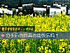 《<i>分手</i>后的你真的能快乐吗？》测试