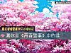 《测你是《青春警事》中的谁》测试