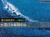 《夏日游艇测<i>初恋</i>》测试