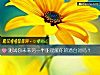 《测试你未来<i>另一半</i>能理解你的潜台词吗？》测试