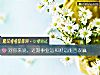 《对你来说，近期事业运和<i>财运</i>能否双赢》测试