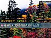 《你的男人可以忍受多久没有性<i>生活</i>》测试