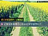 《近期如果<i>跳槽</i>会让你从此荣华富贵吗？》测试
